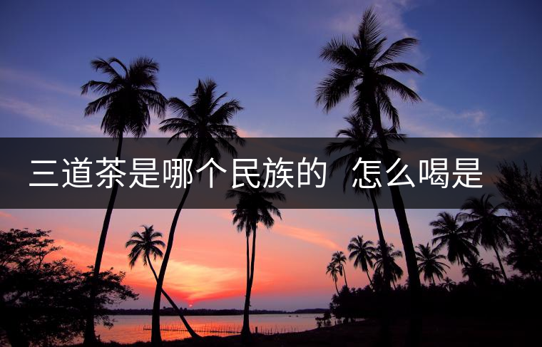 三道茶是哪個民族的   怎么喝是指那三道