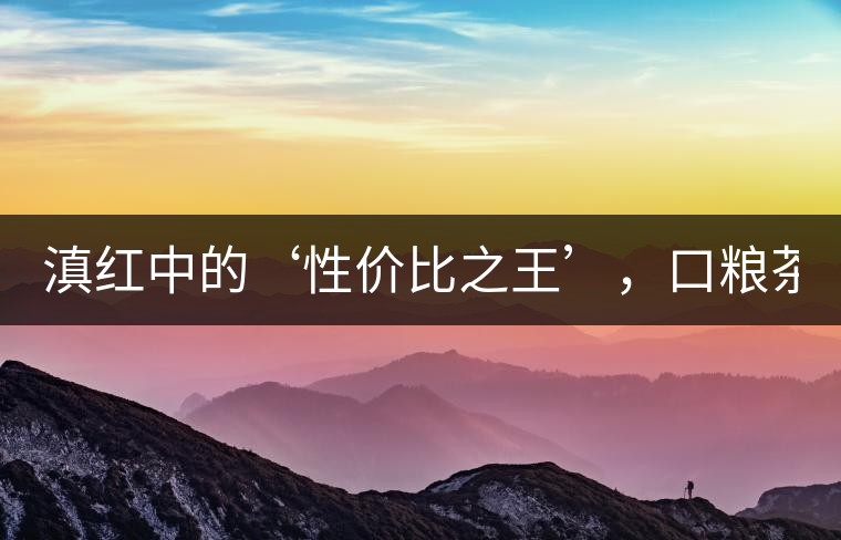 滇紅中的‘性價比之王’，口糧茶首選！