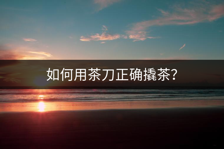 如何用茶刀正確撬茶？