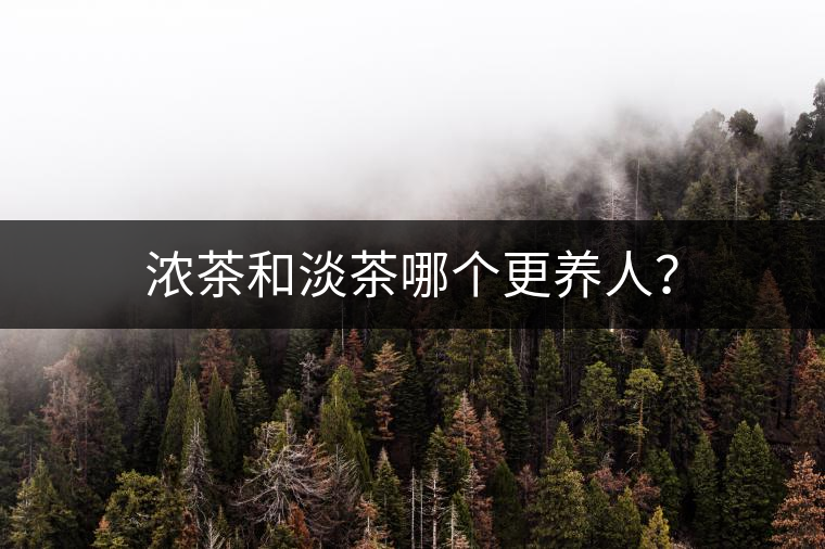 濃茶和淡茶哪個(gè)更養(yǎng)人？