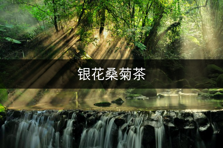 銀花桑菊茶