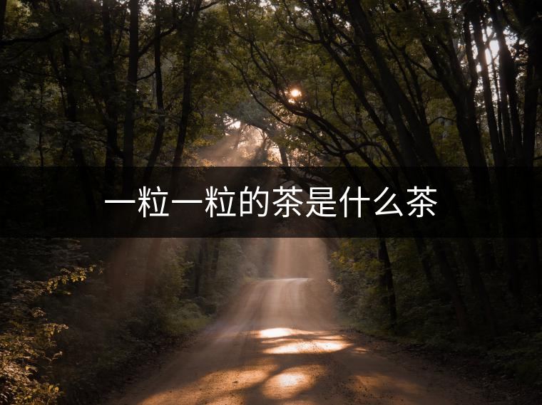 一粒一粒的茶是什么茶 一粒一粒的茶是什么茶