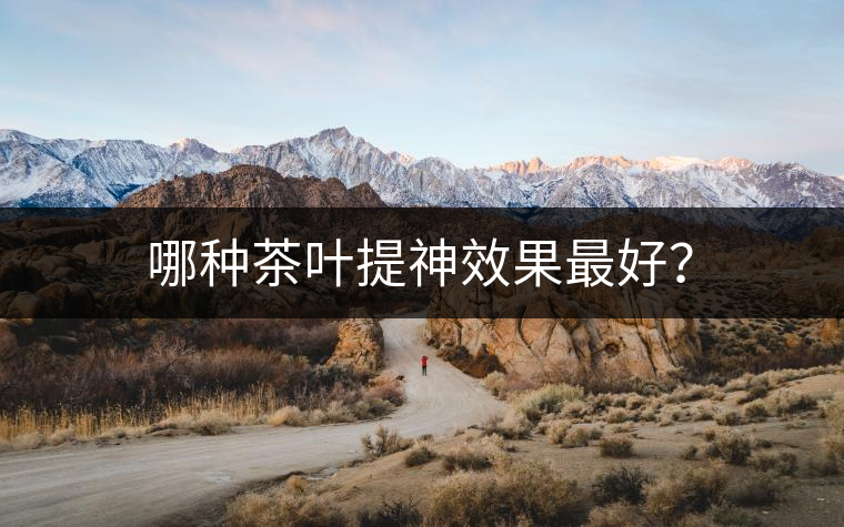 哪種茶葉提神效果最好？