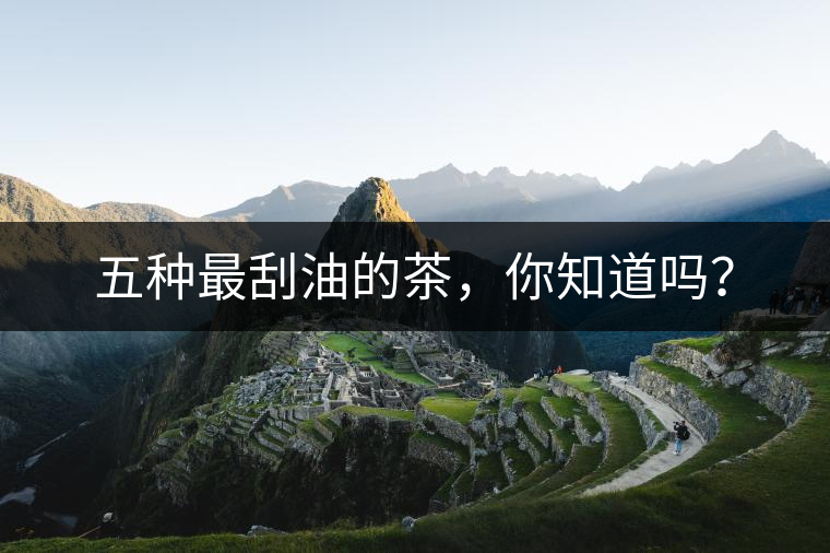 五種最刮油的茶，你知道嗎？