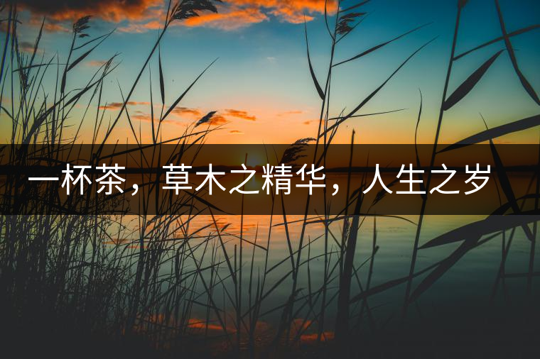 一杯茶，草木之精華，人生之歲月