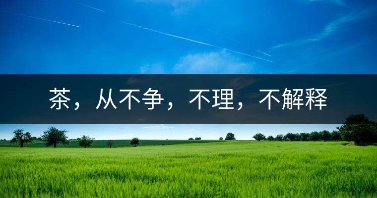 茶，從不爭，不理，不解釋