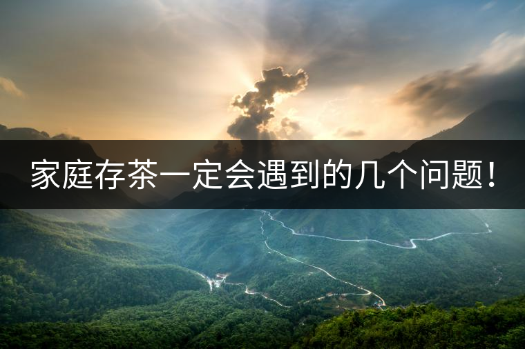 家庭存茶一定會遇到的幾個問題！