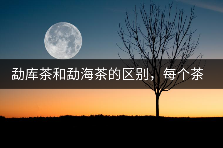 勐庫(kù)茶和勐海茶的區(qū)別，每個(gè)茶友都該了解的選茶常識(shí)！