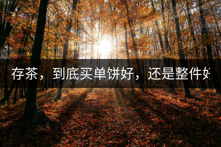 存茶，到底買單餅好，還是整件好？