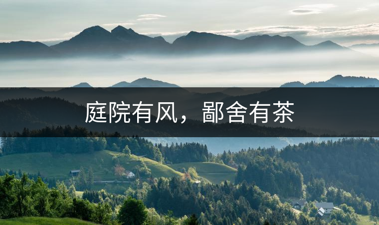 庭院有風，鄙舍有茶