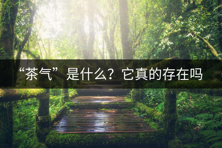 “茶氣”是什么？它真的存在嗎？