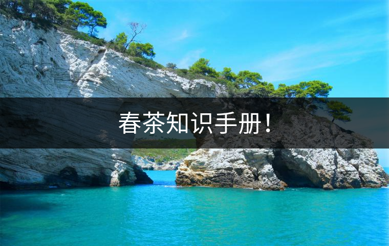 春茶知識(shí)手冊(cè)！