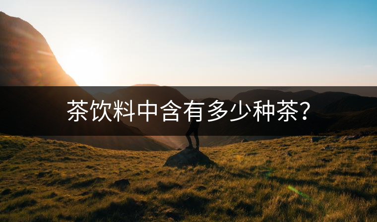 茶飲料中含有多少種茶？