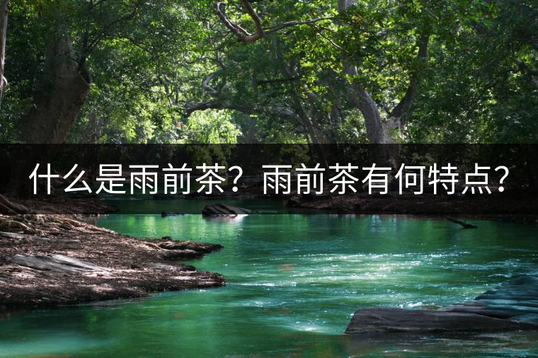 什么是雨前茶？雨前茶有何特點？