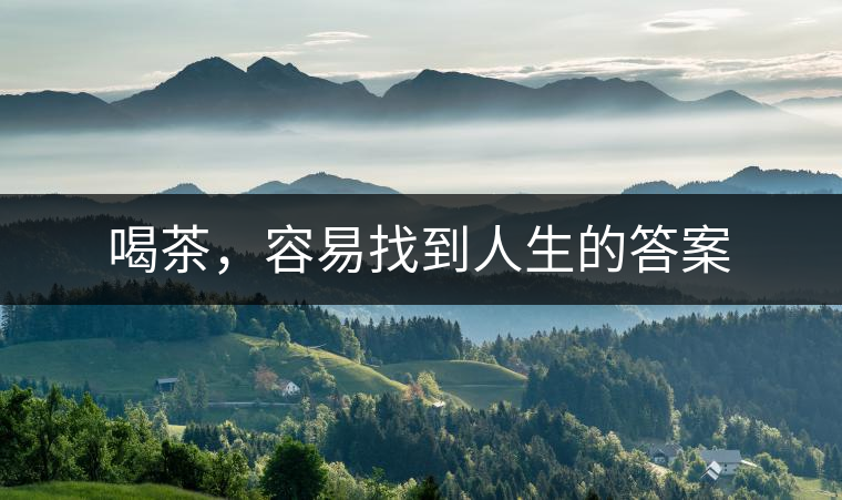 喝茶，容易找到人生的答案