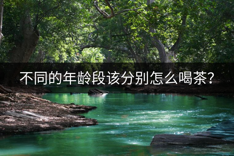 不同的年齡段該分別怎么喝茶？