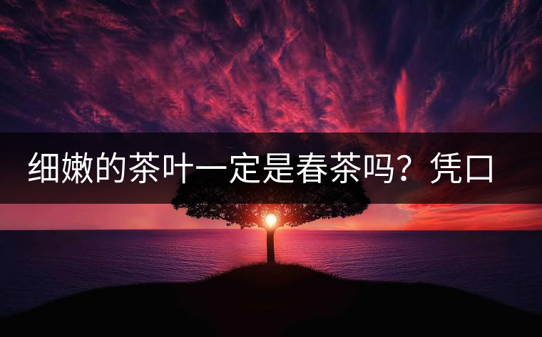 細(xì)嫩的茶葉一定是春茶嗎？憑口感鑒別春茶的方法