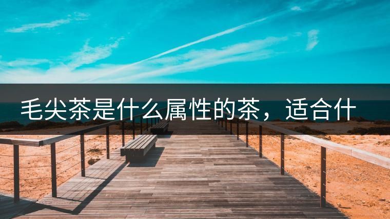 毛尖茶是什么屬性的茶，適合什么群體品飲？