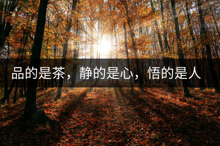 品的是茶，靜的是心，悟的是人生，滌的是靈魂