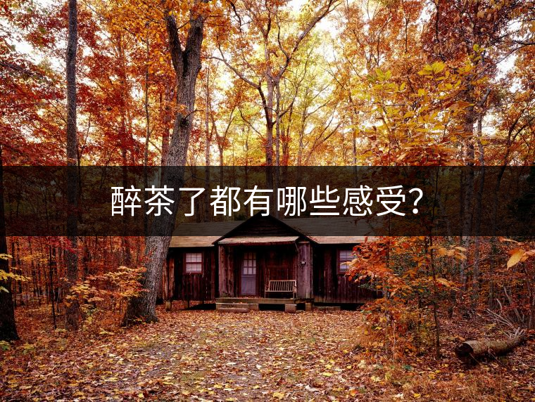 醉茶了都有哪些感受？