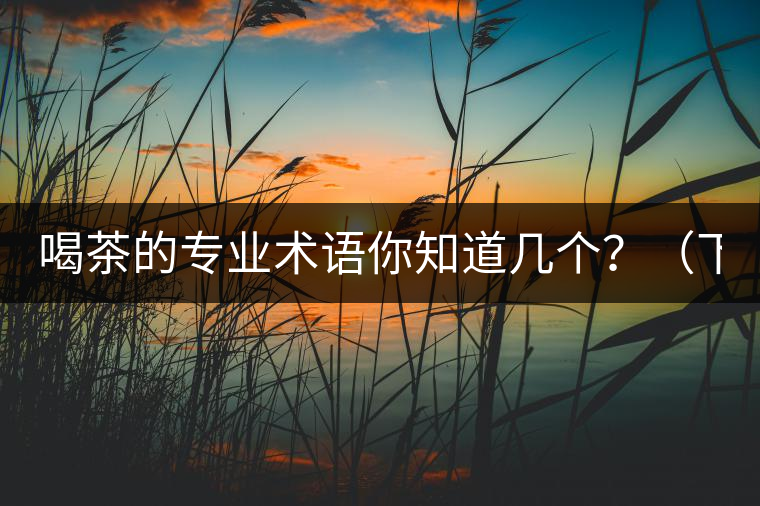 喝茶的專業(yè)術語你知道幾個？（下篇）