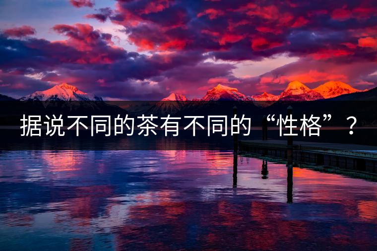 據(jù)說不同的茶有不同的“性格”？