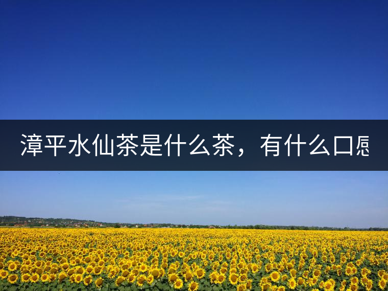 漳平水仙茶是什么茶，有什么口感特點(diǎn)！