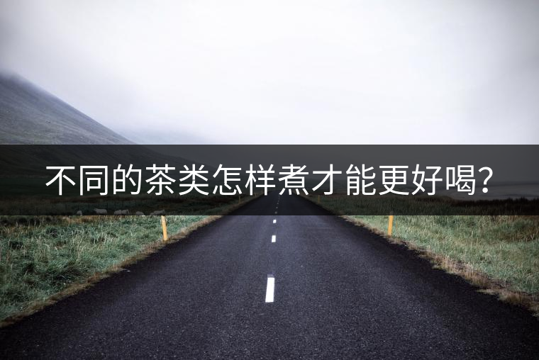 不同的茶類怎樣煮才能更好喝？
