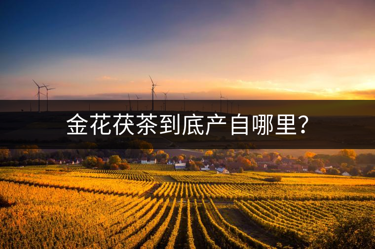 金花茯茶到底產(chǎn)自哪里？