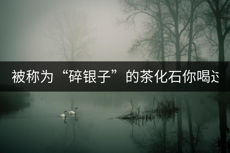 被稱為“碎銀子”的茶化石你喝過(guò)嗎？