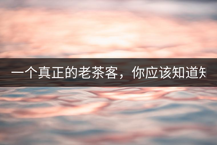 一個(gè)真正的老茶客，你應(yīng)該知道知識(shí)點(diǎn)！