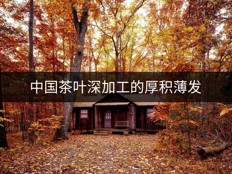 中國茶葉深加工的厚積薄發(fā) 中國茶葉深加工的厚積薄發(fā)