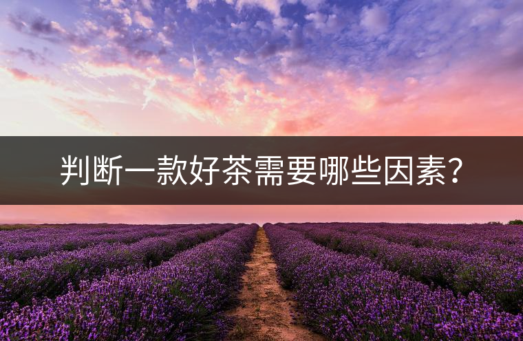 判斷一款好茶需要哪些因素？