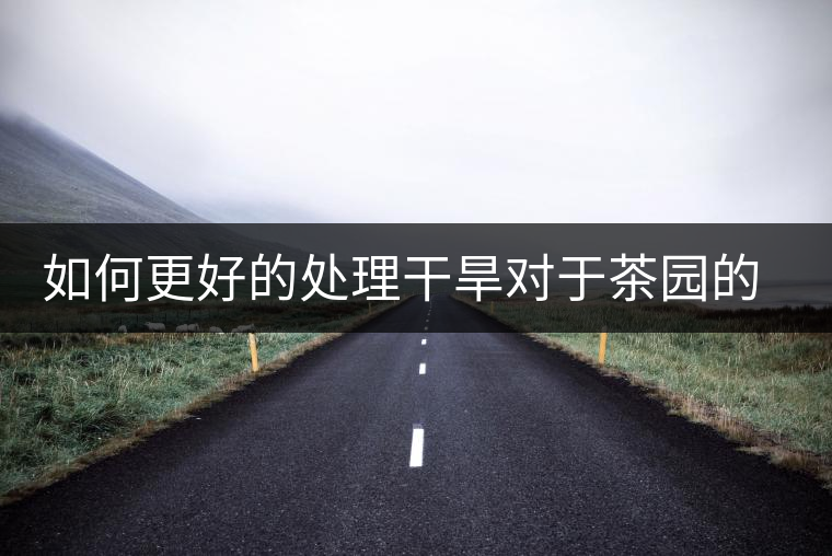 如何更好的處理干旱對(duì)于茶園的影響？