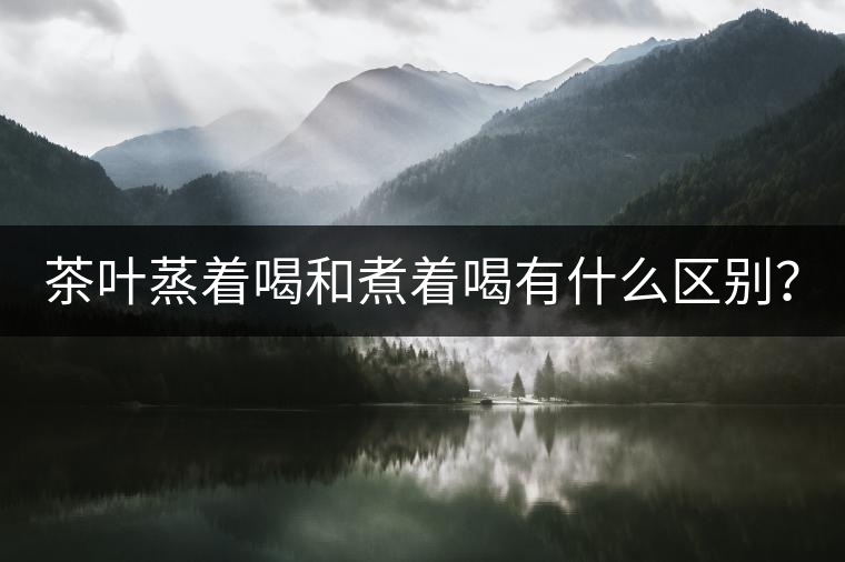 茶葉蒸著喝和煮著喝有什么區(qū)別？