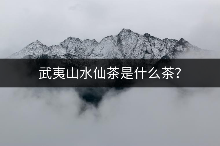 武夷山水仙茶是什么茶？