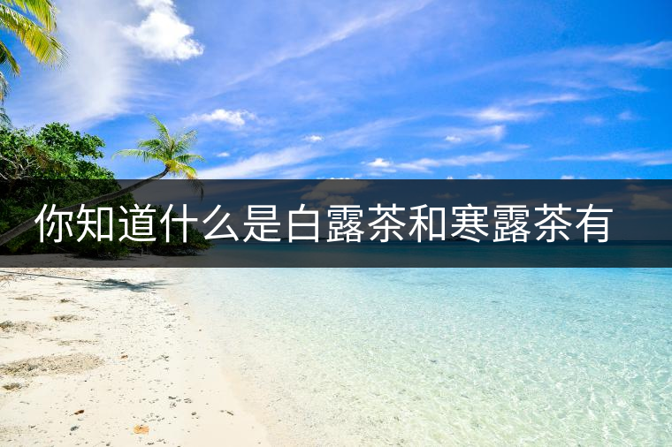 你知道什么是白露茶和寒露茶有區(qū)別嗎？