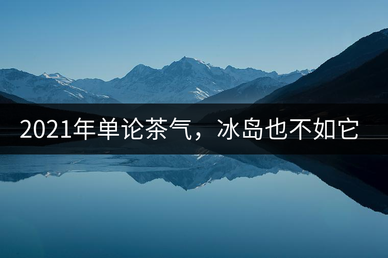 2021年單論茶氣，冰島也不如它-磨烈古樹秋