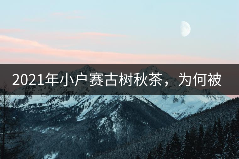 2021年小戶賽古樹秋茶，為何被稱為賽冰島？