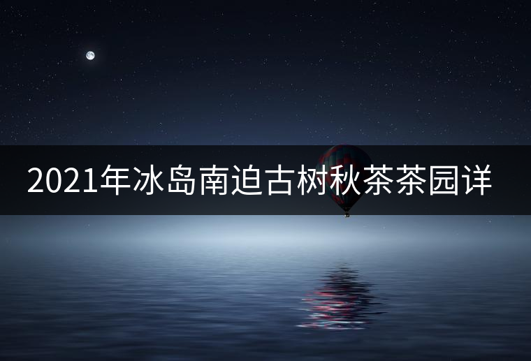 2021年冰島南迫古樹秋茶茶園詳解！