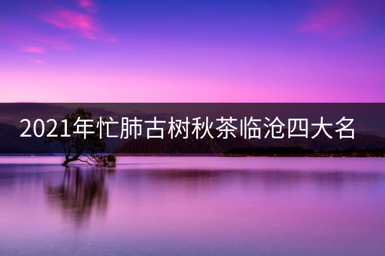 2021年忙肺古樹秋茶臨滄四大名茶之一！