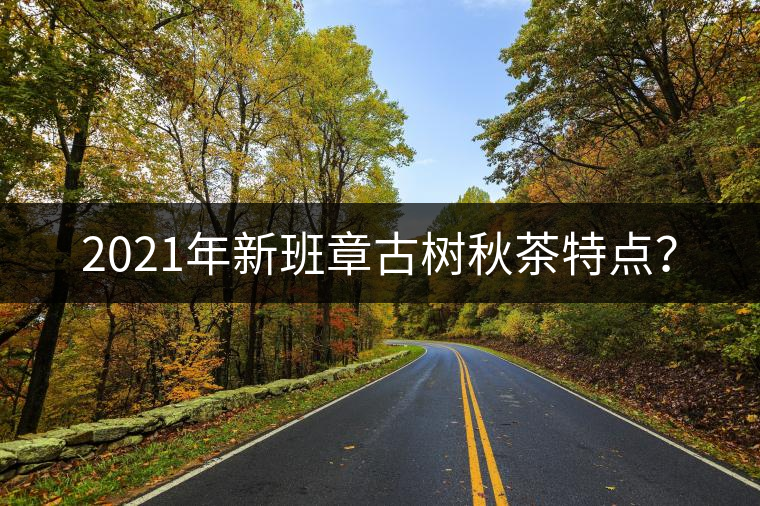 2021年新班章古樹秋茶特點(diǎn)？