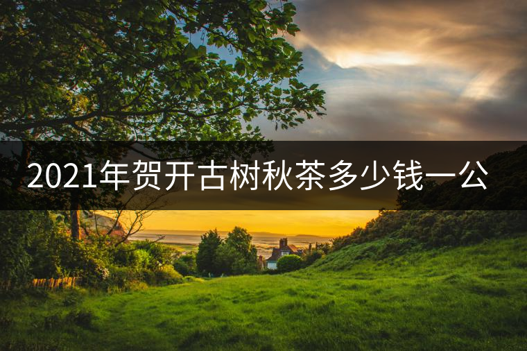 2021年賀開古樹秋茶多少錢一公斤？
