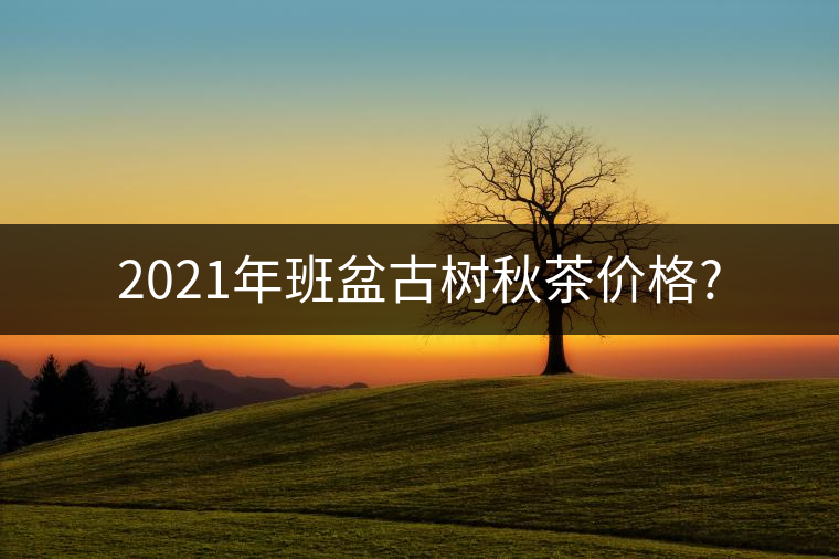 2021年班盆古樹秋茶價(jià)格?