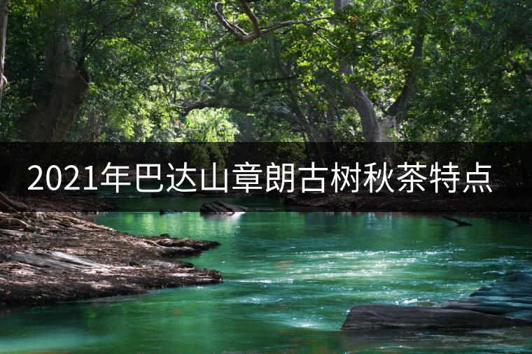 2021年巴達(dá)山章朗古樹秋茶特點(diǎn)？