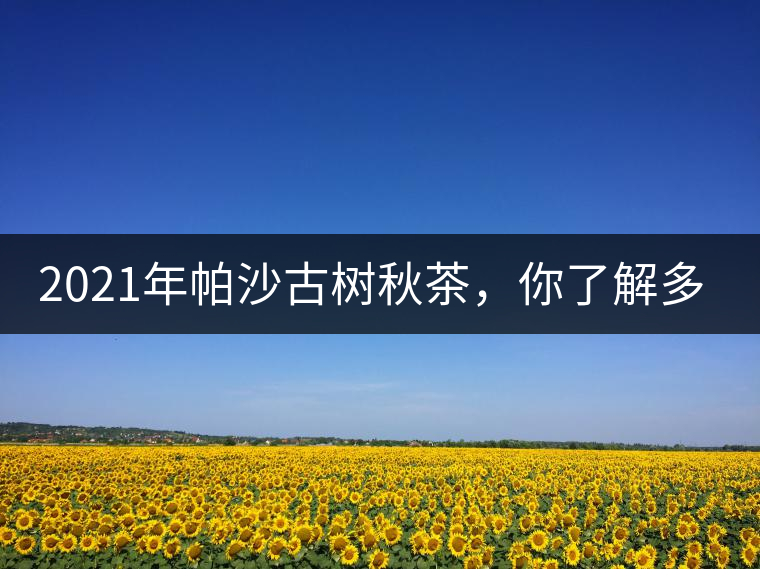 2021年帕沙古樹秋茶，你了解多少？