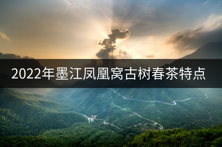 2022年墨江鳳凰窩古樹春茶特點是什么？