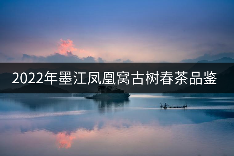 2022年墨江鳳凰窩古樹春茶品鑒實錄!