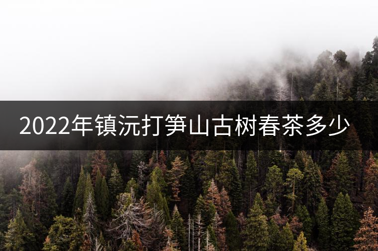2022年鎮(zhèn)沅打筍山古樹春茶多少錢一公斤？