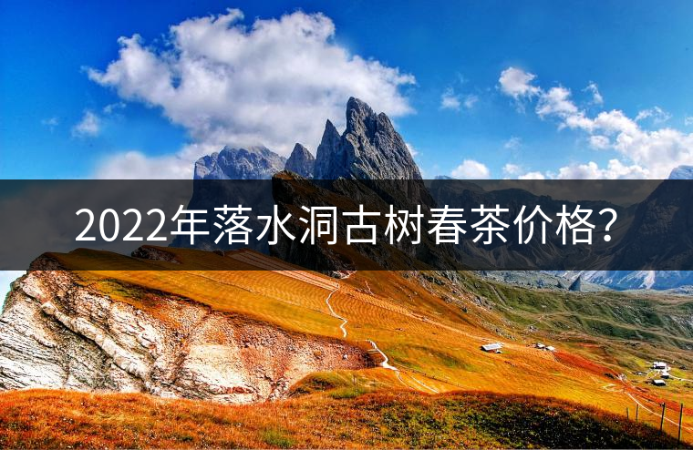 2022年落水洞古樹春茶價(jià)格？